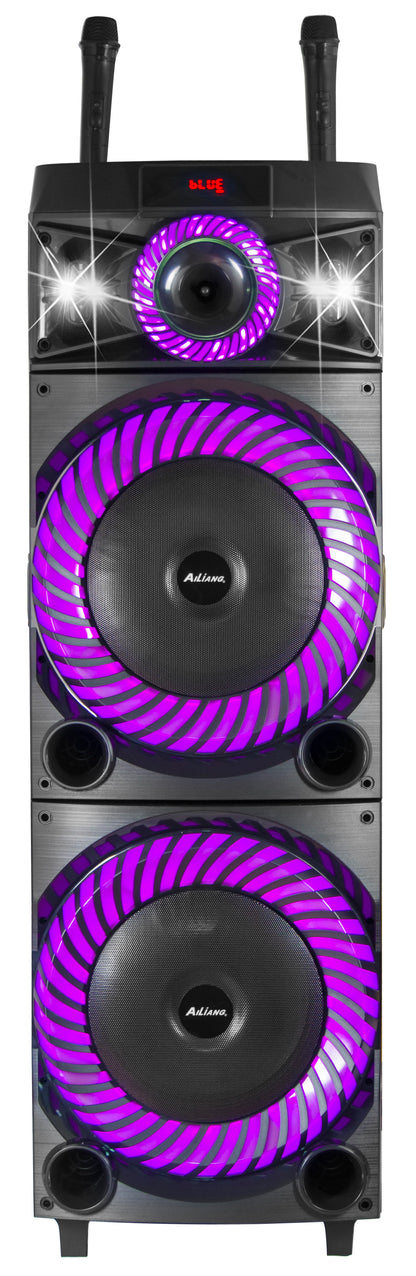 12"*2 plastic+wooden box speaker